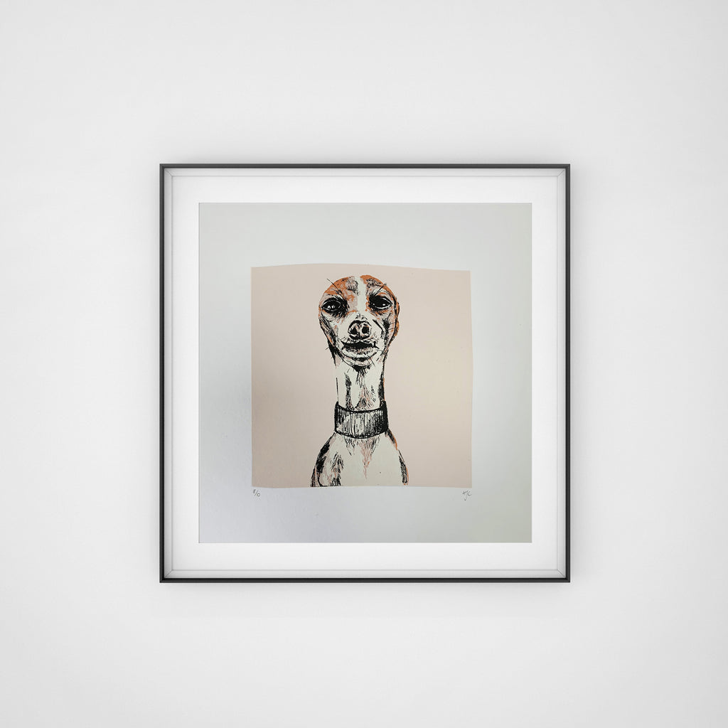 Iggy, Italiian Greyhound Art, Screen Print, Hannah Carvell