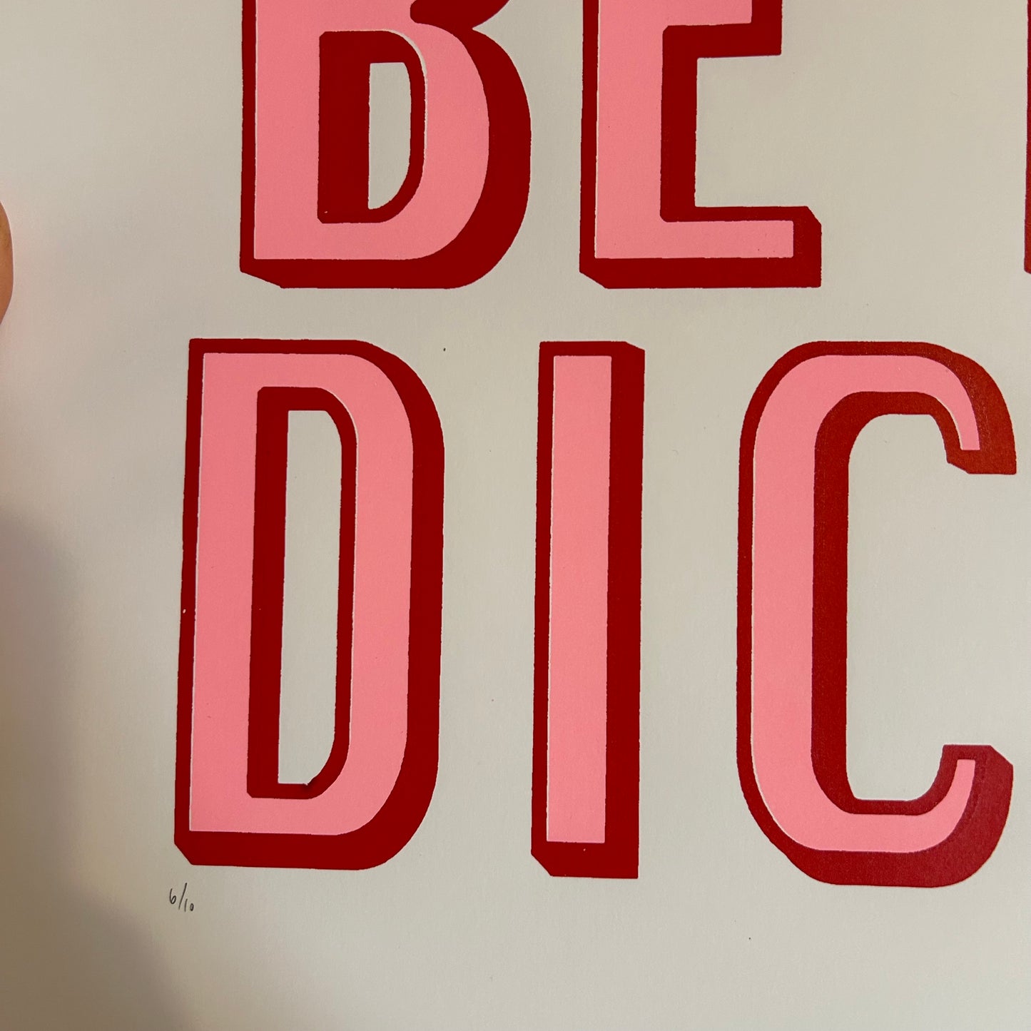 Don't Be a Dick | Screen Print | Pink and Red