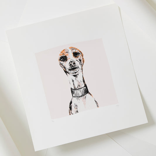 Hannah Carvell, Italian Grey Hound Screen Print, Dog 