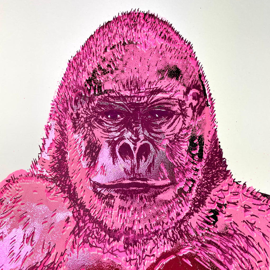 Gorilla | Pink, Camp and Shiny